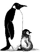 Bw051.GIF