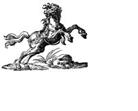 Bw048.GIF
