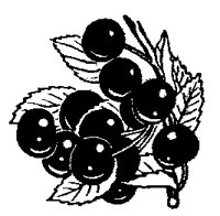 Bw008.GIF