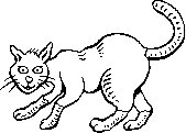 Bw007.GIF
