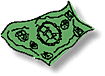 Colou077.GIF