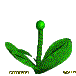 Anima006.GIF