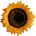 Stati079.GIF