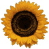 Stati078.GIF