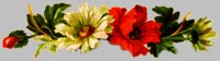 Stati071.GIF