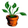 Stati035.GIF