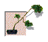 Stati010.GIF