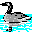 Birds012.GIF