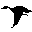 Birds006.GIF