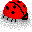 Bugs034.GIF
