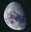 Stati051.GIF