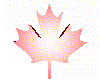 Anim1006.GIF