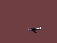 Anima013.GIF