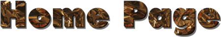 Homep004.GIF