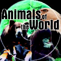 ANIMALS.BMP