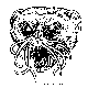 ZOOG1.BMP