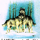 WOLVES.BMP