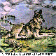 WOLF.BMP