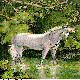 UNICORN1.BMP