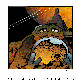 TURTLE.BMP