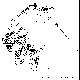 RAGE.BMP