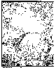 RABBIT.BMP