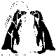 PENGUINS.BMP