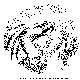 ODDBIRD.BMP