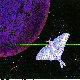 LUNAMOTH.BMP