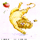 LIONFROG.BMP