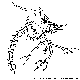 LARVA1.BMP