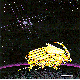 GOLD_BUG.BMP