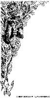 FROGKIN2.BMP
