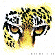 EYES.BMP