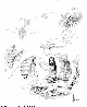 BEES.BMP