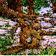 BEAVER3.BMP