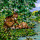 BEAVER.BMP