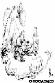 BADKITTY.BMP