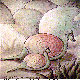 SNAILS.BMP