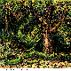 HIDER.BMP