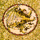 GRYPHON.BMP