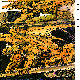 GARGOYL1.BMP