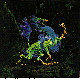 FOUR_LEG.BMP