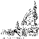 DRAGONFL.BMP