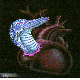 DRAGON3.BMP