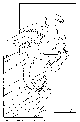 BWGRYPH.BMP