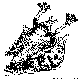 BIRTH.BMP