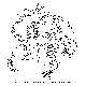 GLANCE.BMP