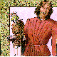 FALCONER.BMP