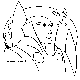 FACE1.BMP